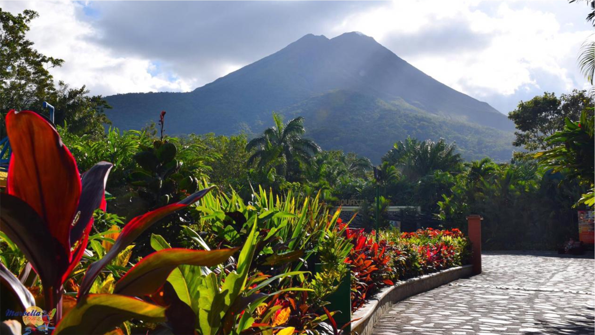 Costa Rica Ticas Brushstrokes Costa Rica Ticas Brushstrokes