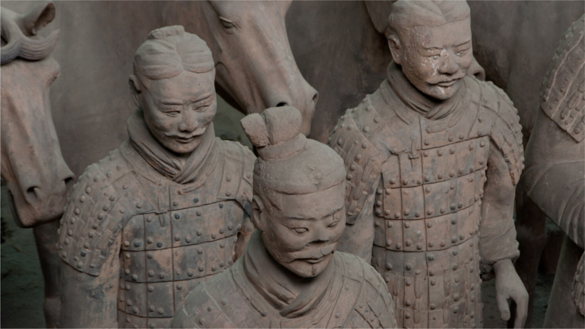 Reino: Pandas y Guerreros