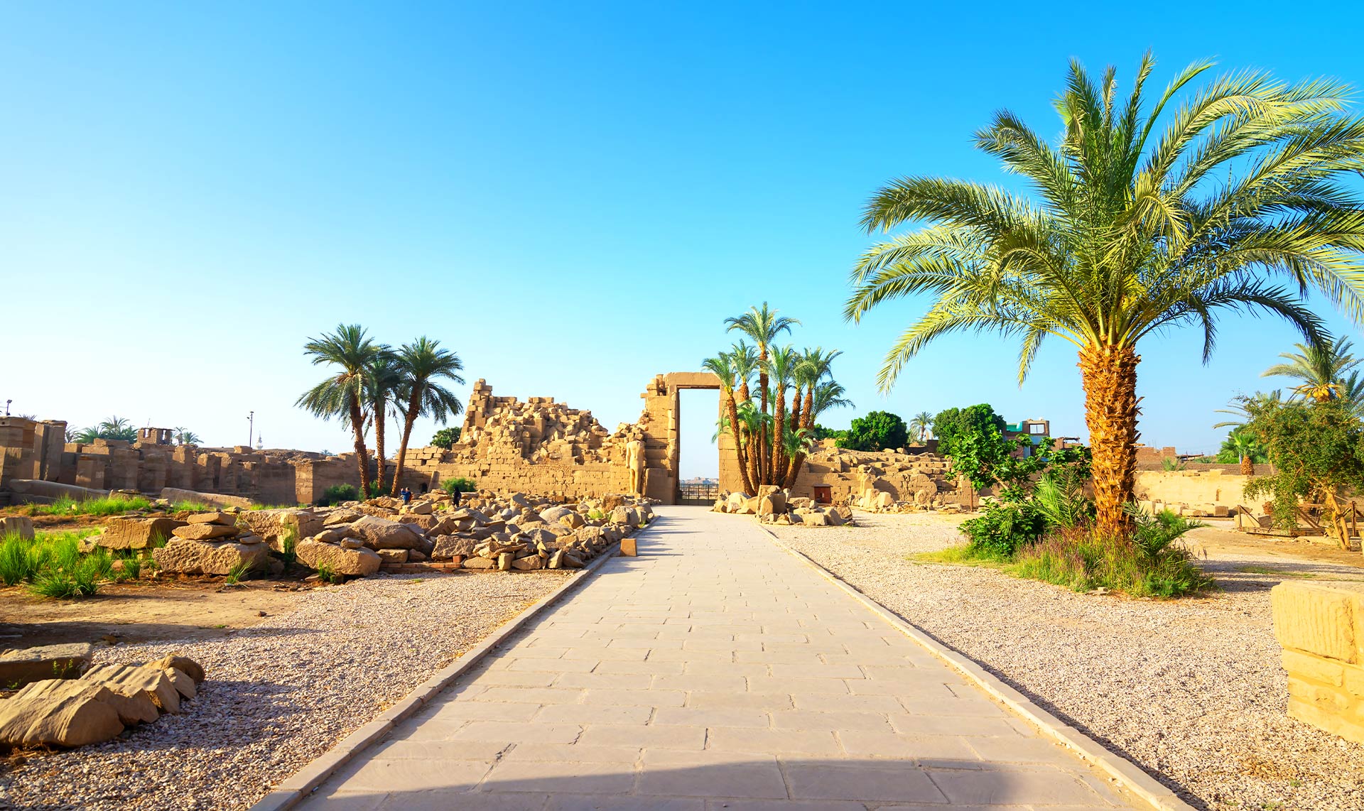 EGYPT EGYPT