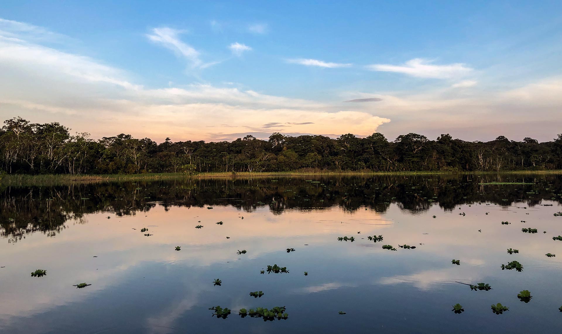 Perú y Amazonas Perú y Amazonas