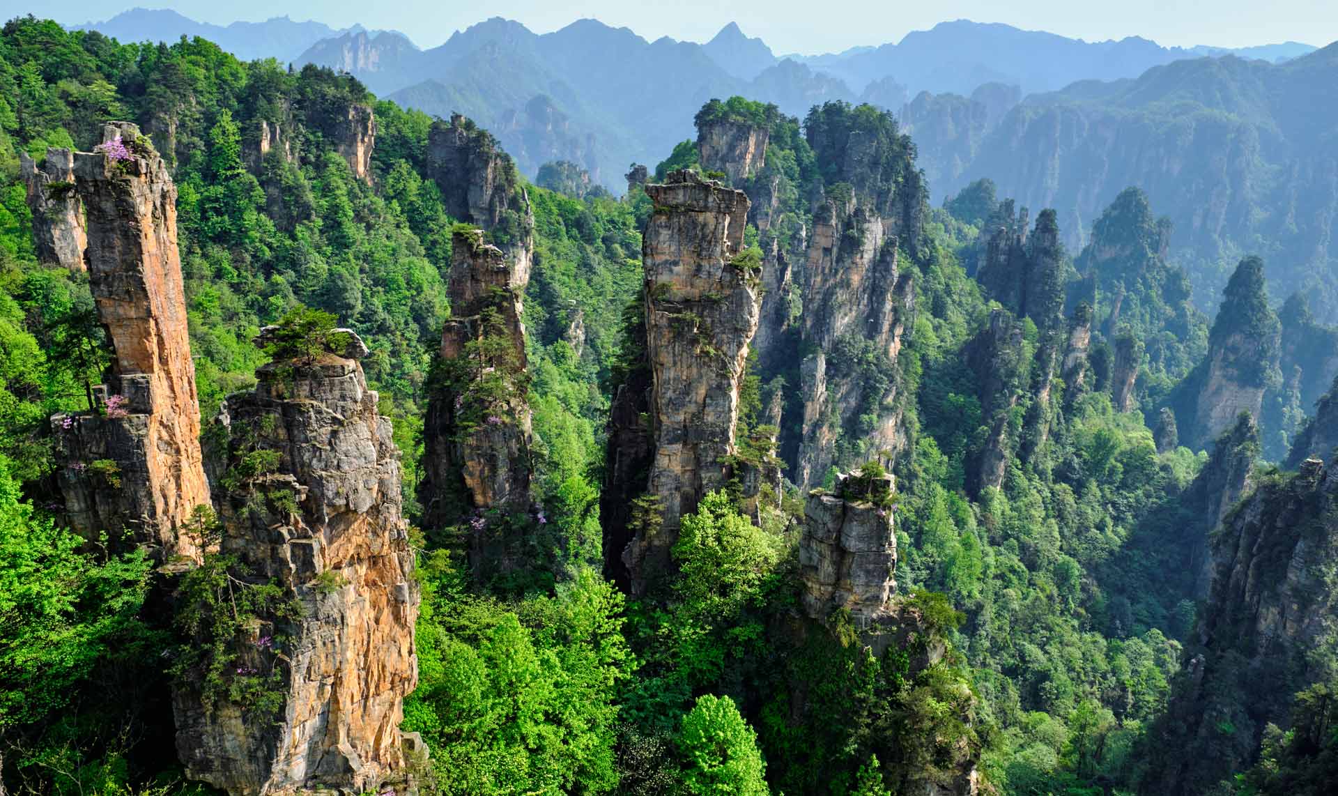 China China