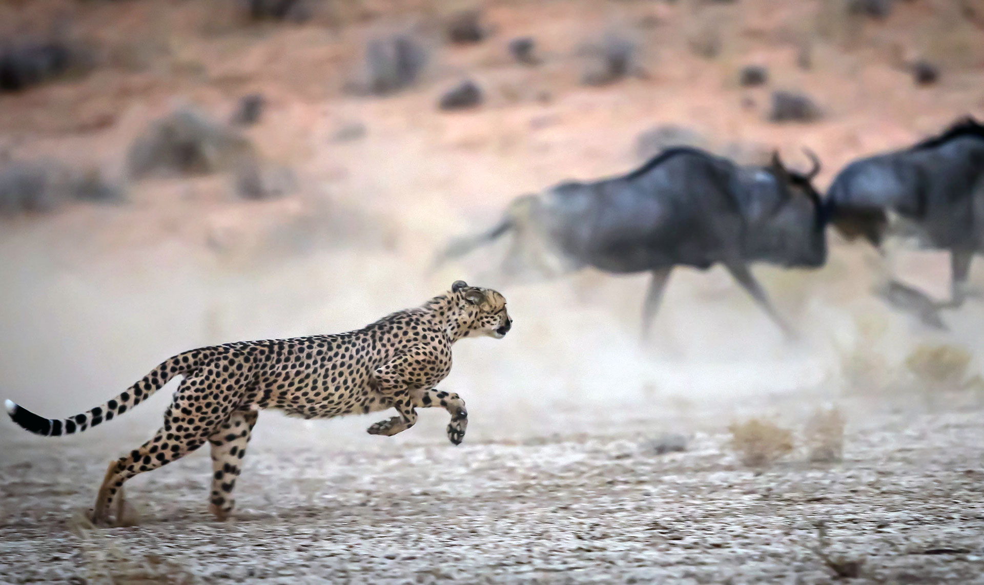 Namibia Namibia