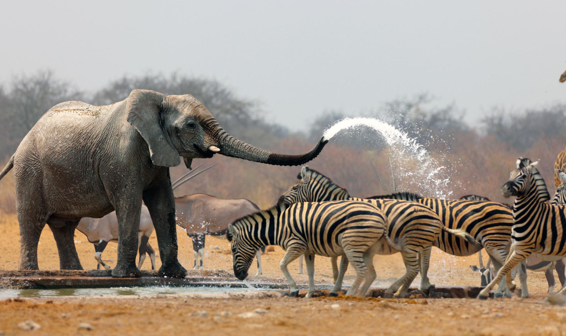 Namibia Namibia