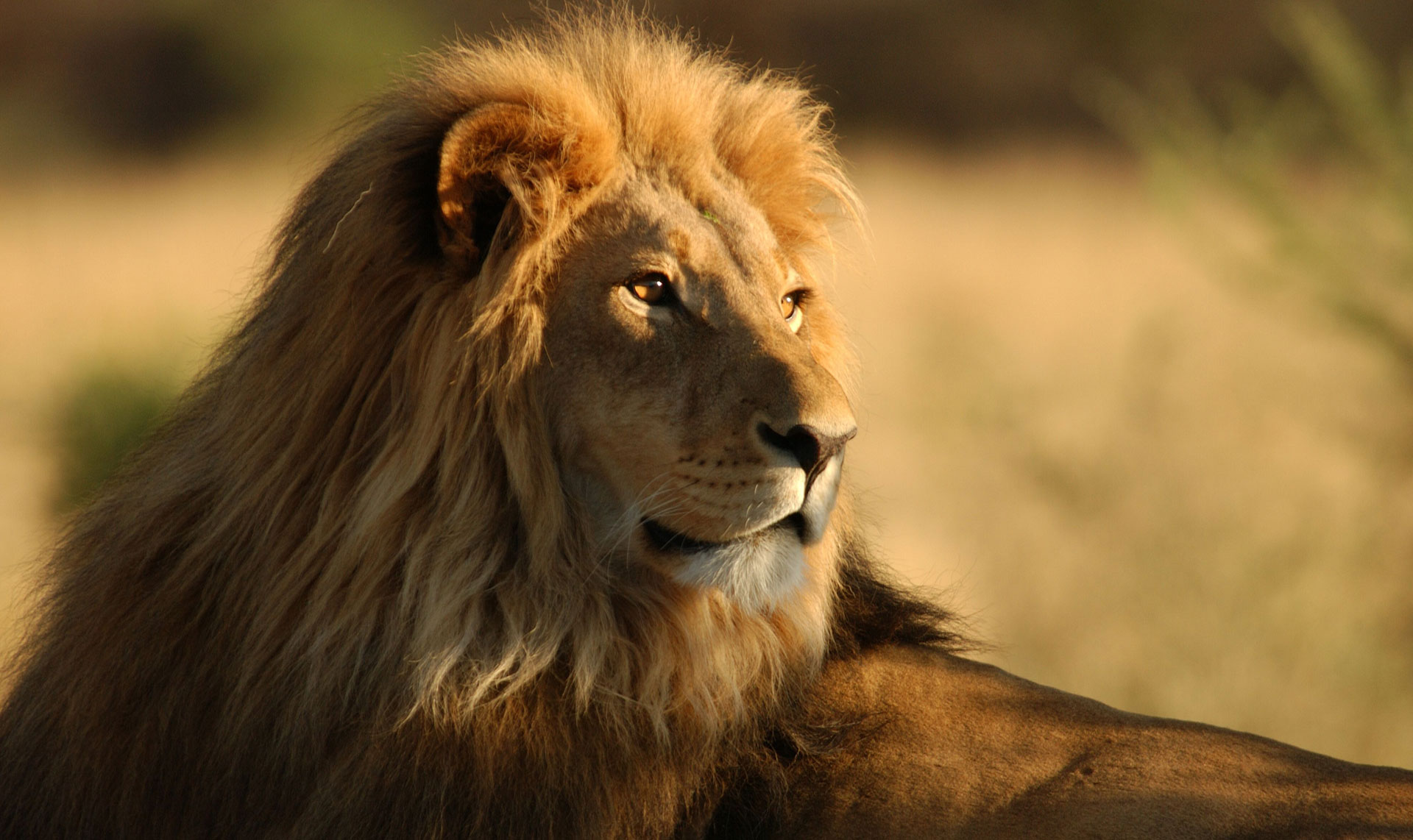 Namibia Namibia