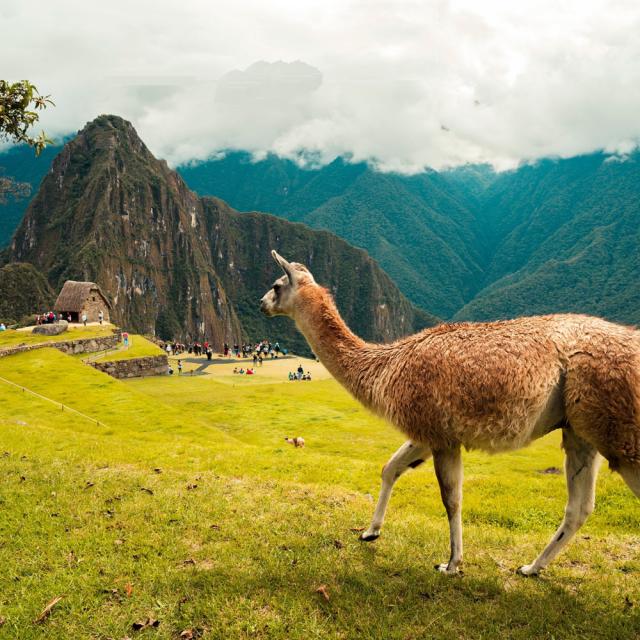Inspirate en Machu Picchu Inspirate en Machu Picchu